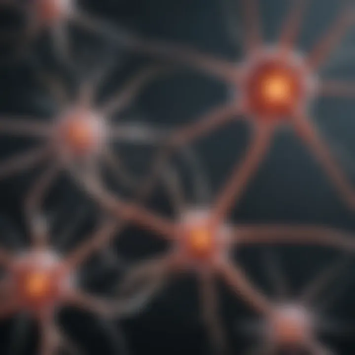 Comparison of different types of neurons and their functions