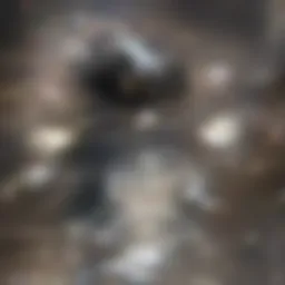 Illustration of diverse medication classes for PTSD treatment