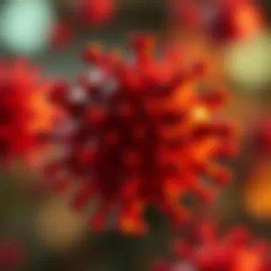 Understanding RSV Prevalence: A Comprehensive Overview Summary Understanding RSV Prevalence: A Comprehensive Overview Summary
