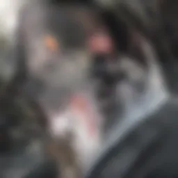 A visual representation of speed variations in nature