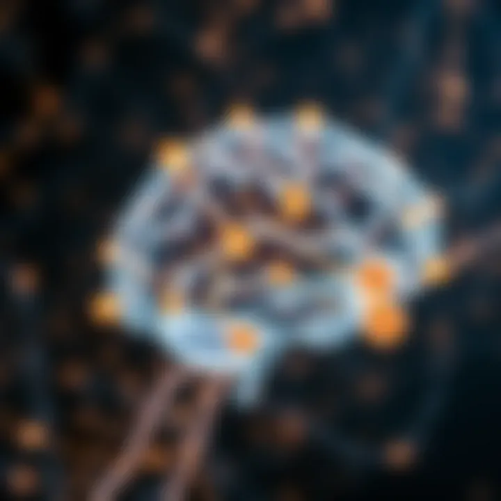 Neurological Pathways and Their Role in Anxiety Brain pathways related to anxiety