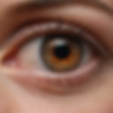 Genetic Factors in Retinal Health Genetic markers associated with retinal degeneration