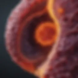 Diagram illustrating the metastasis of pancreatic cancer to the liver