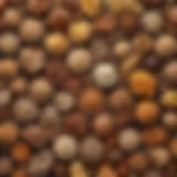 Diverse carbohydrate sources arranged artistically to illustrate variety