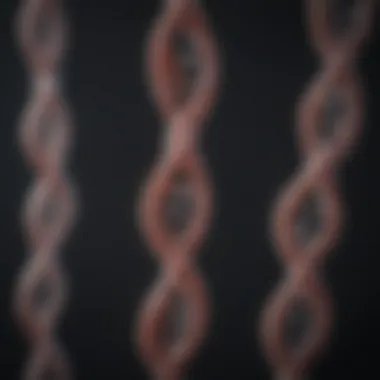 Infographic on inheritance patterns related to the X chromosome