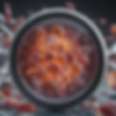 Mechanisms of Antibiotics Against UTIs Illustration of antibiotic action on bacteria