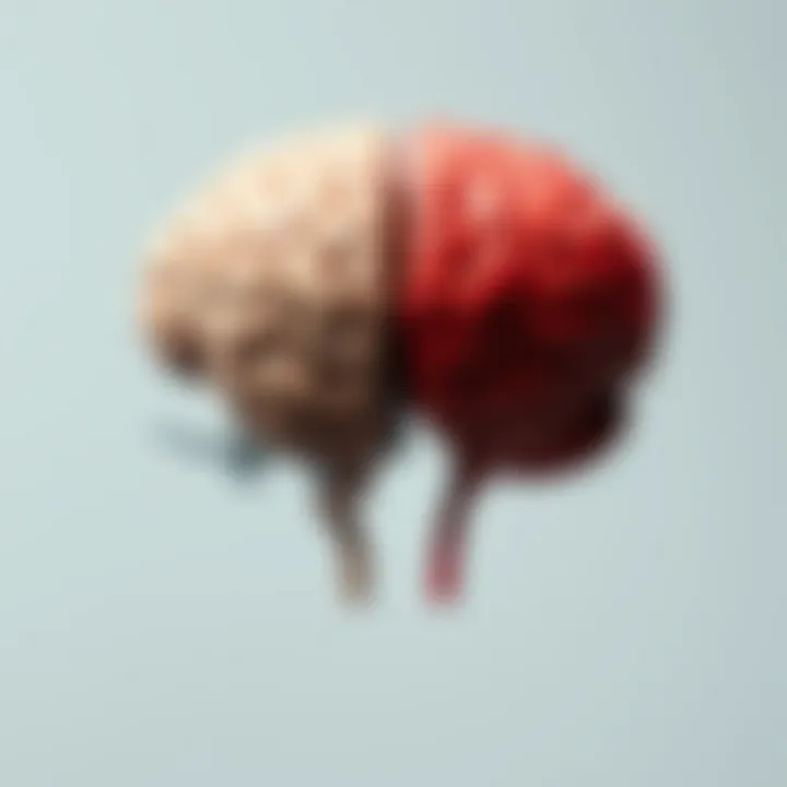 Notable Understanding Your Cognitive Predispositions: Left versus Right Brain