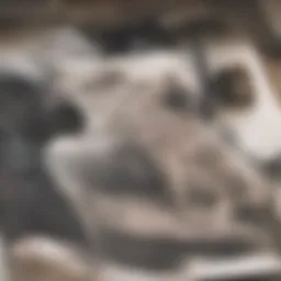 Gavel symbolizing legal aspects of abortion