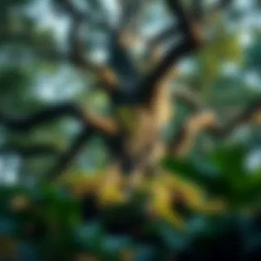 Ecosystem of Resilience A diverse ecosystem thriving around an old tree